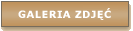 Galeria zdj��
