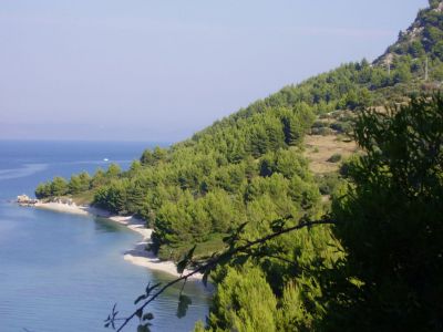 Apartament Oleandar