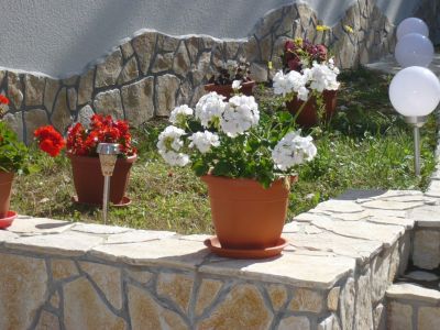 Willa Apartamenty Žana