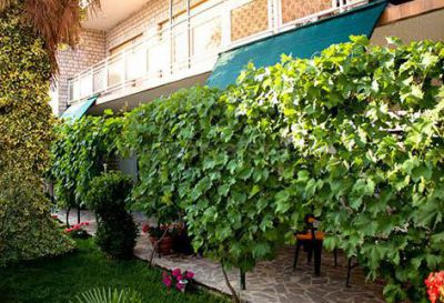 Apartamenty Zorka