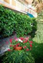 Apartamenty Zorka