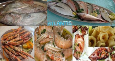 Pokoje Atlantis Pag Novalja Zubovici