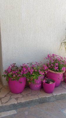 Apartamenty Lucija