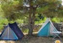 Kemping Arboretum