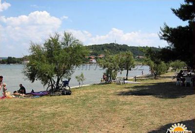 Kemping Arboretum