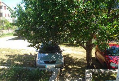 Apartamenty MAESTRAL