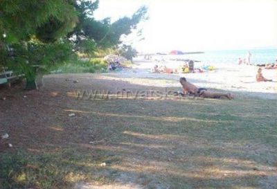 Apartamenty MAESTRAL