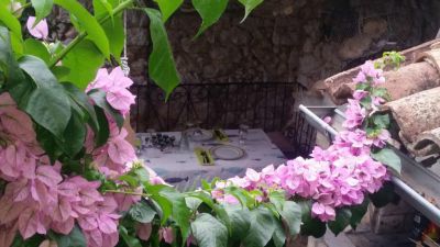 Apartamenty Čule Cres