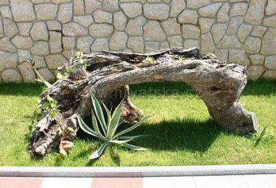 Apartamenty Jasna