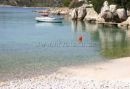 Willa Karlo