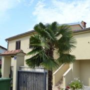 Apartamenty Lera