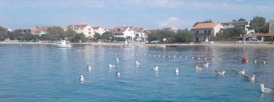 Apartamenty Lušić Srima - Vodice