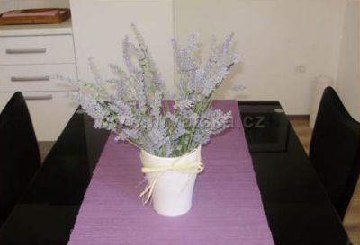 Apartamenty Magas i Iris