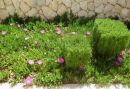 Apartamenty Magas i Iris