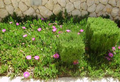 Apartamenty Magas i Iris