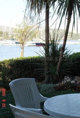 Apartamenty Olea