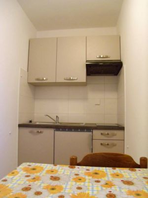 Apartamenty Boroš Novigrad