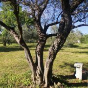 S&M camping ***