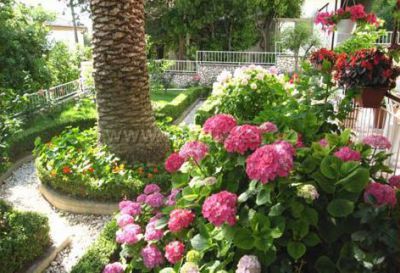 Apartamenty Marija Španjol