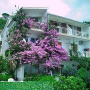 Apartamenty SPEEDBOAT