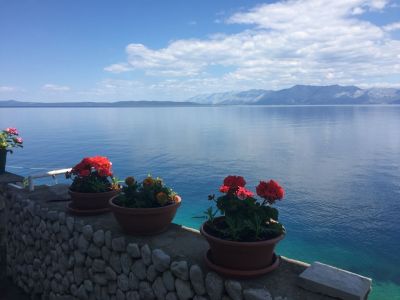 Dom wakacyjny Tea With Beach TRPANJ