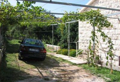 Tonkica apartamenty