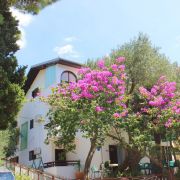 Apartamenty Willa Filipovic