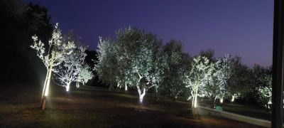 Hacienda Matea