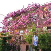 Apartamenty ZORKA